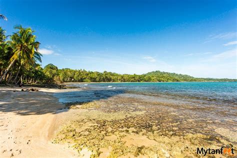 playa chiquita|Playa Chiquita Costa Rica: A Gorgeous and Quiet Caribbean。